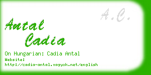 antal cadia business card